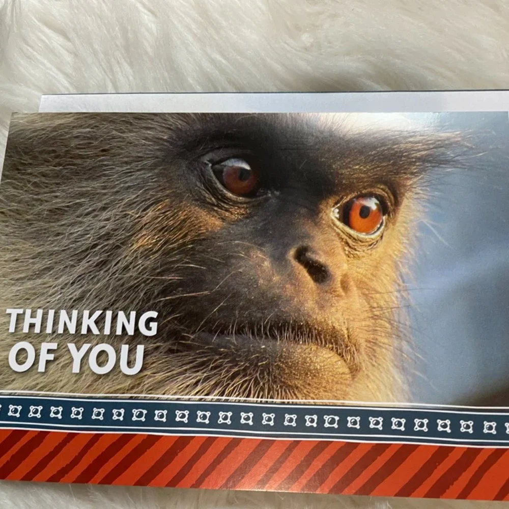6 Assorted Greeting cards with matching print envelopes (PETA) Blank Inside